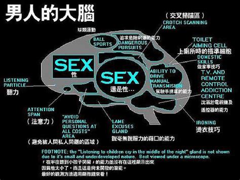 男人与女人|细数20个男女之间的差异！男人和女人的大脑到底有什。